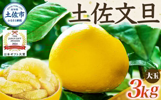 【日本ギフト大賞2024受賞】【先行予約】 文旦3kg 大玉(3L〜2L)家庭用 高知県 土佐文旦  旬 ぶんたん ブンタン 柑橘 フルーツ 果物 贈答 ギフト 土佐 高知 やの一果彩高知県土佐市7000果物・