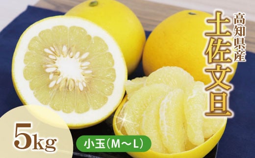 土佐文旦(ぶんたん) (小玉サイズ:M〜L混合) 約5kg【株式会社とさもん(土佐市)厳選】家庭用 文旦 約5キロ 約12〜16玉 ぶんたん ブンタン 柑橘 果物 フルーツ お取り寄せ おいしい高知県土佐市