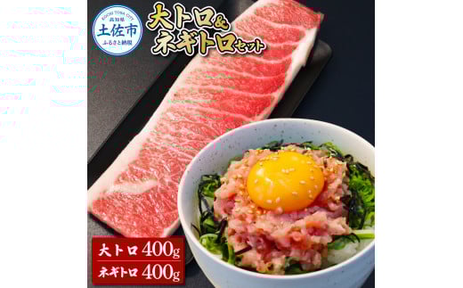 本鮪 大トロ400g ネギトロ400g(200g×2) ねぎとろ マグロ まぐろ 大とろ 本まぐろ 天然 刺身 刺し身 魚 海鮮 魚介 海鮮丼 ネギトロ丼 お寿司 おかず おつまみ 惣菜 簡単 時短高知県土佐市35000魚介