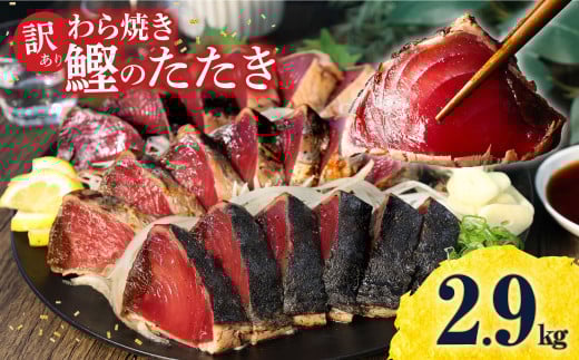 かつおのたたき 訳あり 鰹のたたき 2.9kg カツオのたたき 鰹のたたき タタキ 訳アリ 不揃い 規格外 数ブロックに小分け 小分け 刺身 刺し身 藁焼き タレ 海鮮 魚 高知 土佐 本場  故郷納税 返