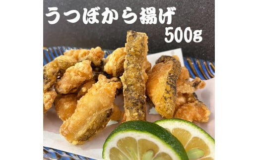 gmhȂړgpiⓀjmys14000ECYN