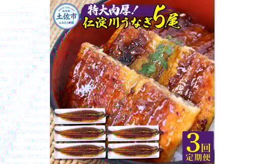 【3回定期便】仁淀川特大肉厚うなぎ5尾セット 定期コース 3ヶ月 タレ付き うなぎ 鰻 国産 ウナギ 蒲焼き かば焼き 1尾200g超え 仁淀川 太化うなぎ 養殖 おいしい 人気 冷凍 夏高知県土佐市15600