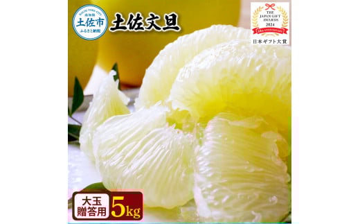 【日本ギフト大賞2024受賞】園主こだわり土佐文旦【化粧箱贈答用:大玉5kg】(3L〜2L) 2026年1月下旬より順次発送 ぶんたん ブンタン 柑橘 フルーツ 果物 贈答 ギフト 土佐 高知 やの一果彩高