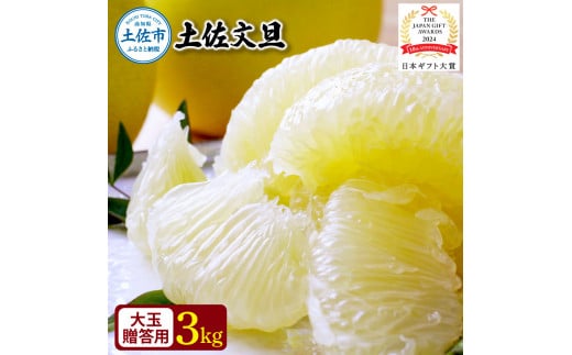 【日本ギフト大賞2024受賞】園主こだわり土佐文旦【化粧箱贈答用:大玉3kg】(3L〜2L) 2026年1月下旬より順次発送 ぶんたん ブンタン 柑橘 フルーツ 果物 贈答 ギフト 土佐 高知 やの一果彩高