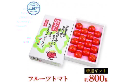 <2026年1月下旬より発送>フルーツトマト特選ギフト約800g トマト フルーツトマト 池トマト 糖度10度以上 高糖度 高知県産 ギフト 箱入り 贈答用 贈り物 健康 美味しい ふるーつとまと お取