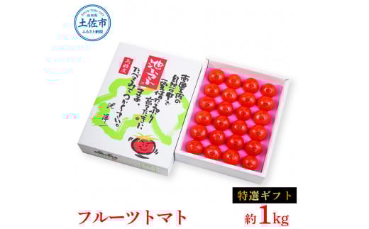 <2026年1月下旬より発送>フルーツトマト特選ギフト約1kg トマト フルーツトマト 池トマト 糖度10度以上 高糖度 高知県産 ギフト 箱入り 贈答用 贈り物 健康 美味しい ふるーつとまと お取り