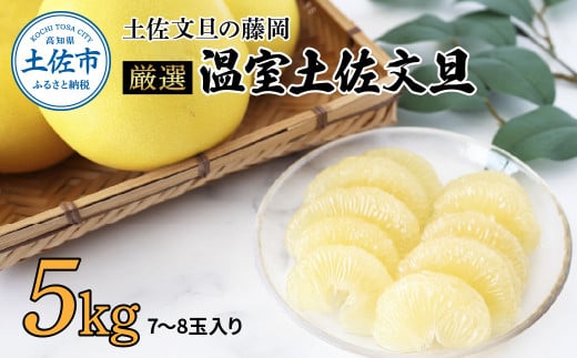 <土佐文旦の藤岡>先行予約 厳選 温室土佐文旦 5kg (7〜8玉)文旦 ぶんたん ブンタン 土佐文旦 ハウス栽培 甘い  柑橘 フルーツ 果物 ご当地 お取り寄せ高知県土佐市25000果物・フルーツみ