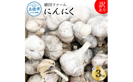 訳あり にんにく 約3kg 乾燥 ニンニク にんにく 訳アリ わけアリ 不揃い 型崩れ 自然乾燥 大量 大容量 常温 配送 数量限定 高知県産高知県土佐市9500野菜・きのこその他 野菜