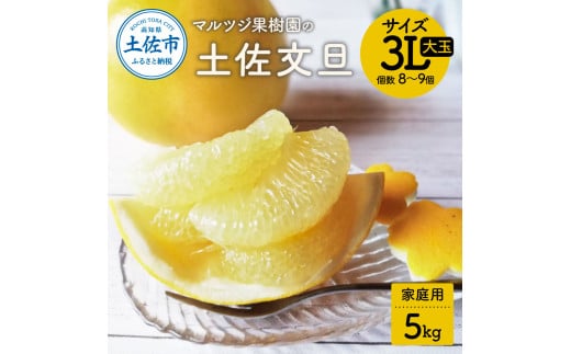 【先行予約受付】文旦 約5kg 家庭用 大玉 土佐文旦 高知 ぶんたん ブンタン 期間限定 数量限定 3Lサイズ 8〜9個 果物 柑橘 フルーツ 高知県産 家庭用 ご自宅用 傷 美味しい高知県土佐市12000果