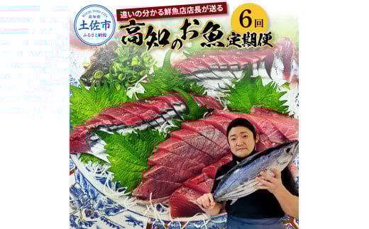 <6回定期便>違いの分かる鮮魚店店長が送る 高知のお魚定期便!! 海鮮 魚 さかな 新鮮 カツオのタタキ 金目鯛 真鯛 ネギトロ 天然アユ など 旬 季節 定期便 お楽しみ 定期コース 6ヶ月 年6