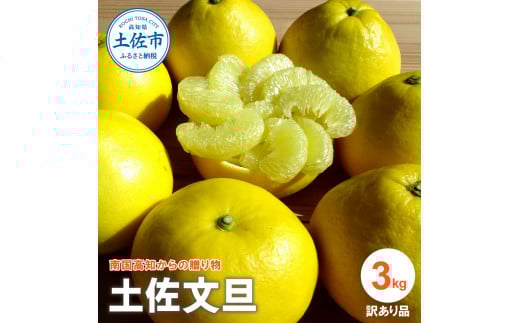 『南国高知からの贈り物』土佐文旦 【訳あり(家庭用)】3kg 3キロ 5玉〜7玉入 期間限定 数量限定 文旦 ぶんたん ブンタン 柑橘 みかん 果物 フルーツ ワケあり 甘い 美味しい 旬 ギフト高知