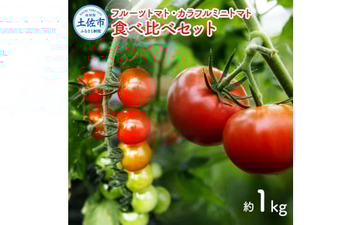 フルーツトマト食べくらべセット 1kg トマト フルーツトマト ミニトマト 詰め合わせ セット 新鮮野菜 ふるーつとまと フルーツミニトマト カラフル トマト とまと 美味しい サラダ 野菜 高