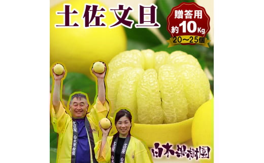 【果樹園直送】土佐文旦特選品贈答用 約10kg L〜2L (20〜25個) 果物 柑橘 フルーツ ぶんたん ブンタン 文旦 高知県土佐市 お取り寄せ 産地直送 おいしい 美味しい 返礼品