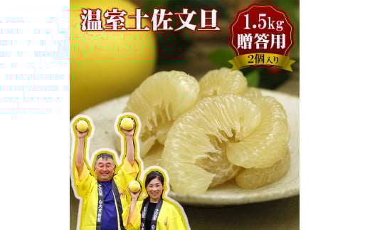 12月発送土佐文旦 温室土佐文旦 特選秀品ご贈答用中箱 2個入り 約1.5kg 文旦 大玉サイズ ハウス文旦 柑橘 みかん フルーツ ぶんたん ブンタン 果物 お取り寄せ おいしい 美味しい 高知県土佐