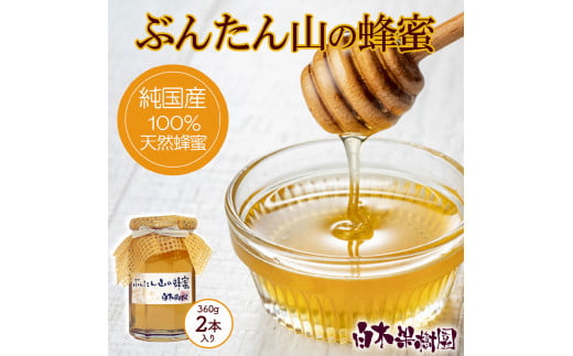 爽やかな香り広がる100%天然蜂蜜 ぶんたん山の蜂蜜 360g 2本入り はちみつ ハチミツ 高知県産 国産 天然はちみつ 土佐 高知 【白木果樹園】高知県土佐市26500鍋セット・総菜・加工食品ジャム