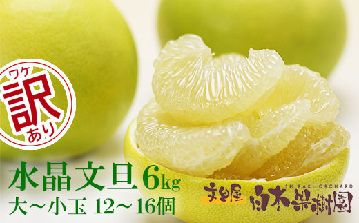 水晶文旦 ご家庭用お得箱 約6kg Mサイズ〜4Lサイズ(12〜16個入り) 訳あり ワケあり 訳 傷 キズ へこみ 文旦 ブンタン ぶんたん 水晶文旦 果物 柑橘 フルーツ 家庭用 ご自宅用高知県土
