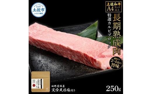 土佐和牛 特選カルビブロック250g 田野屋銀象完全天日塩1P付き 特選 長期熟成肉 田野屋銀象 完全天日塩付き カルビ 牛肉 ブロック 肉 お肉 和牛 国産 牛 熟成肉 ブロック肉 豪華 贅沢高知県土