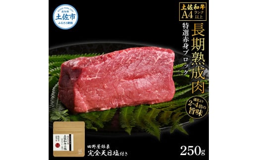 土佐和牛 特選赤身ブロック250g 田野屋銀象完全天日塩1P付き 長期熟成肉 田野屋銀象 完全天日塩付き 赤身 牛肉 ブロック 肉 お肉 和牛 国産 牛 熟成肉 ブロック肉 豪華 贅沢 真空パック高知県