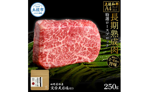 土佐和牛 特選ロースブロック250g 田野屋銀象完全天日塩1P付き 長期熟成肉 田野屋銀象 完全天日塩付き ロース 牛肉 ブロック 肉 お肉 和牛 国産 牛 熟成肉 ブロック肉 贅沢 真空パック高知県