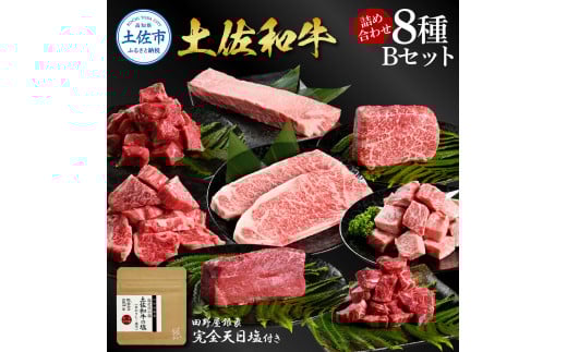 土佐和牛詰め合わせ8種Bセット 長期熟成肉 8種 詰め合わせ セット 田野屋銀象 完全天日塩付き 牛肉 肉 お肉 和牛 国産 牛 赤身 ヒレ カルビ ロース ブロック サーロイン スネ肉 熟成肉高知県