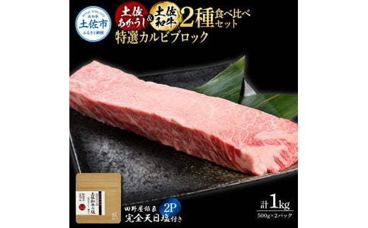 土佐あかうし&土佐和牛2種食べ比べ 特選カルビブロック500g 計2P 田野屋銀象完全天日塩2P付 牛肉 肉 お肉 和牛 国産 牛 赤身 ヒレ カルビ ロース ブロック サーロイン 熟成肉高知県土佐市75000