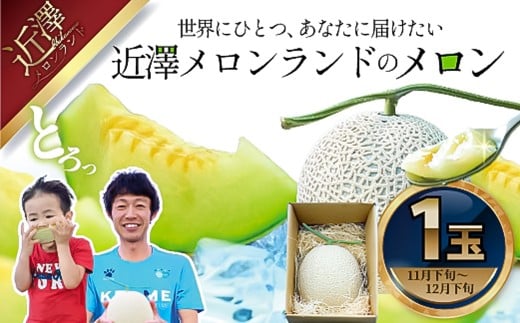 先行予約 メロン 1玉入(約1.4kg〜1.8kg)青肉 2025年冬発送 期間限定 メロン めろん マスクメロン 舐瓜 果物 くだもの フルーツ デザート 旬 ハウス栽培 常温配送高知県土佐市19000果物・フル
