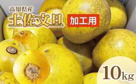 【訳あり】土佐文旦(ぶんたん)加工用(M〜5L混合)約10kg【株式会社とさもん(土佐市)厳選】 文旦 10キロ 約16~30玉 ぶんたん ブンタン 柑橘 果物 フルーツ お取り寄せ おいしい