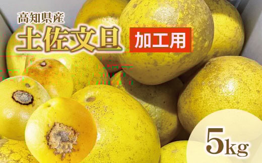 【訳あり】土佐文旦(ぶんたん)加工用(M〜5L混合)約5kg【株式会社とさもん(土佐市)厳選】 文旦 5キロ 約8~15玉 ぶんたん ブンタン 柑橘 果物 フルーツ お取り寄せ おいしい 訳あ