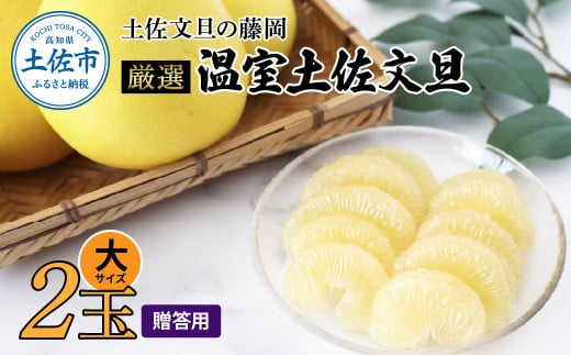 厳選 温室土佐文旦 贈答用木箱入り 大玉 2玉 約600g×2個 ぶんたん ブンタン フルーツ 柑橘 みかん 果物 くだもの 土佐文旦の藤岡 旬 プレゼント ギフト 贈答 贈り物 お歳暮高知県土佐市16000果