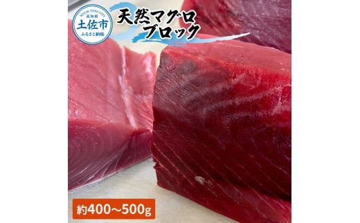 天然マグロ ブロック 約450〜550g 4~6人前 まぐろ 赤身 鮪 魚 さかな 海鮮 魚介 海の幸 赤身 お刺身 海鮮丼 お寿司 おかず おつまみ 惣菜 食品 天然 国産高知県土佐市20000魚介・海産物鮮魚