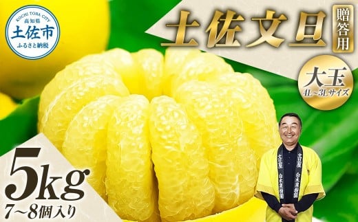 【果樹園直送】土佐文旦 特選品贈答用 約5kg 3L〜4Lサイズ 7〜8個入り 大玉 ぶんたん ブンタン フルーツ 柑橘 みかん 果物 くだもの 柑橘類 デザート おやつ 贈り物 プレゼント 白木果樹園高知