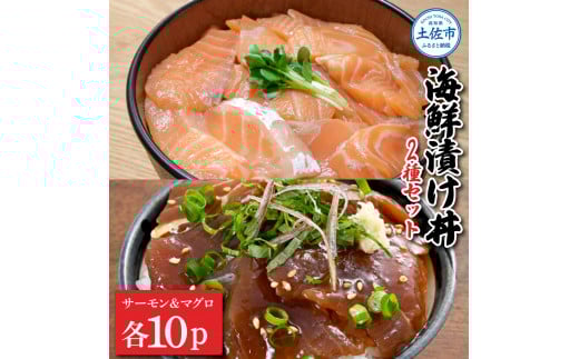 土佐の海鮮漬け丼(サーモン・まぐろ)各10袋セット 1パック60g 漬け丼 海鮮丼 マグロ丼 サーモン丼 鮪 まぐろ おかず おつまみ 惣菜 魚介類 海鮮 個包装 小分け 真空パック 簡単 お取り寄せ