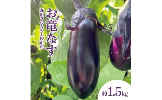 森田さんちの土佐市産お竜なす 約1.5kg 1.5キロ 16~21本 1本約80g 茄子 ナス なすび 野菜 新鮮 焼き茄子 煮浸し 漬物 浅漬け ぬか漬け 味噌汁 おかず 弁当 お取り寄せ 食品高知県土佐市12000野菜・