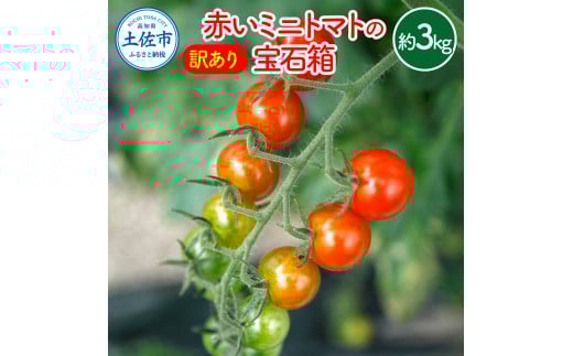 訳あり 赤いミニトマトの宝石箱 約3キロ 約3kg トマト とまと ミックス 詰め合わせ セット 野菜 料理 サラダ マリネ パスタ 浅漬け おやつ 弁当 甘味 酸味 新鮮 訳アリ 家庭用 ご自宅用高知県