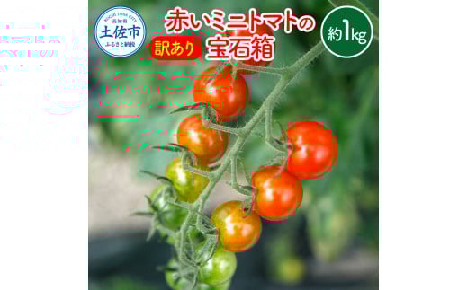 訳あり 赤いミニトマトの宝石箱 約1キロ 約1kg トマト とまと ミックス 詰め合わせ セット 野菜 料理 サラダ マリネ パスタ 浅漬け おやつ 弁当 甘味 酸味 新鮮 訳アリ 家庭用 ご自宅用高知県
