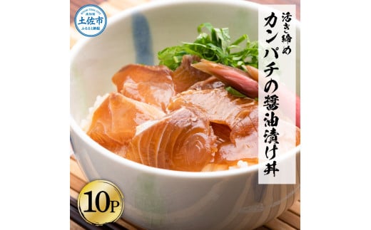 訳あり 活き締めカンパチの醤油漬け丼(10P)セット かんぱち 醤油 特製タレ 惣菜 魚 魚介類 海鮮 海鮮丼 お茶漬け 新鮮 高鮮度 ご自宅用 ご家庭用 美味しい 小分け 個包装 お取り寄せ 国産高知