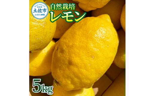 自然栽培レモン5kg 5キロ レモン 檸檬 れもん 自然栽培 無農薬 柑橘類 柑橘 フルーツ 果物 くだもの レモネード 塩レモン はちみつレモン レモンスカッシュ レモンサワー ビタミンC高知県土