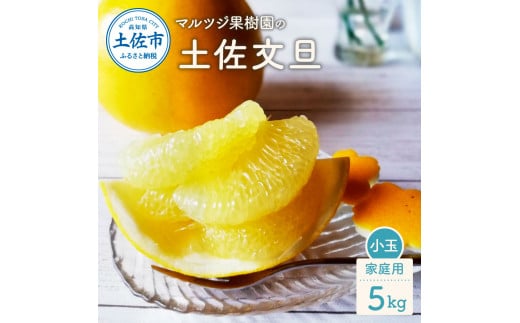 マルツジ果樹園の土佐文旦 家庭用(小玉) 約5s 5キロ M~Lサイズ 12~17個入り ぶんたん ブンタン フルーツ 柑橘 みかん 果物 くだもの 柑橘類 デザート お取り寄せ 国産高知県土佐市10500果物・フ