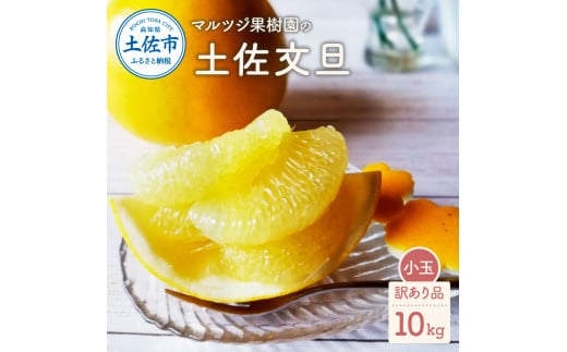 マルツジ果樹園の土佐文旦 訳あり品(小玉) 約10キロ 10kg M~Lサイズ 24~34個入り ぶんたん ブンタン フルーツ 柑橘 みかん 果物 くだもの 柑橘類 デザート ご自宅用 ご家庭用 国産高知県土佐市125