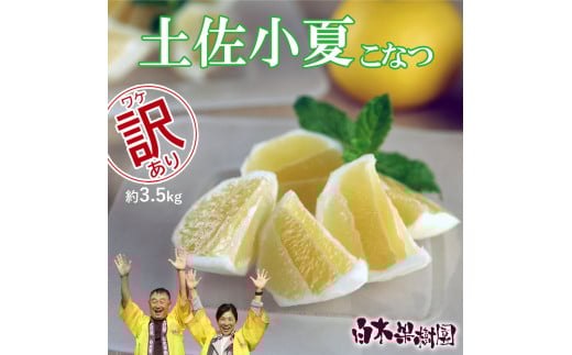 s\@؉ʎ y 󂠂育ƒp 3.5kg 3.5L Ȃ k 񂫂 k t[c  j[T}[IW  ʕ  ʎ fU[g  W