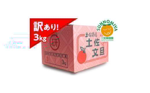 O{ʎ̓yU 󂠂 3kg Ԃ񂽂 u^ 3L 6ʑO t[c k ݂ ʕ  k fU[g p ƒp p  킯 Ymys700