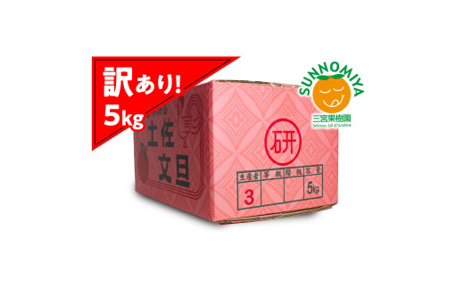 三宮果樹園の土佐文旦 訳あり 5kg ぶんたん ブンタン 5キロ 10玉前後 フルーツ 柑橘 みかん 果物 くだもの 柑橘類 デザート ご自宅用 ご家庭用 自分用 お取り寄せ わけあり 国産高知県土佐市80
