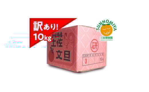 三宮果樹園の土佐文旦 訳あり 10kg ぶんたん ブンタン 10キロ 20玉前後 フルーツ 柑橘 みかん 果物 くだもの 柑橘類 デザート ご自宅用 ご家庭用 自分用 お取り寄せ わけあり 国産高知県土佐市