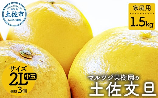 【先行予約】マルツジ果樹園の土佐文旦 家庭用(中玉) 約1.5kg 1.5キロ 2Lサイズ 3個入り ぶんたん ブンタン フルーツ 柑橘 みかん 果物 くだもの 柑橘類 デザート ご自宅用 ご家庭用 お取り寄せ