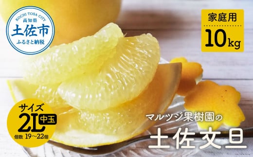 【先行予約】マルツジ果樹園の土佐文旦 家庭用(中玉) 約10kg 10キロ 2Lサイズ 19~22個入り ぶんたん ブンタン フルーツ 柑橘 みかん 果物 くだもの 柑橘類 デザート お取り寄せ 国産高知県土佐