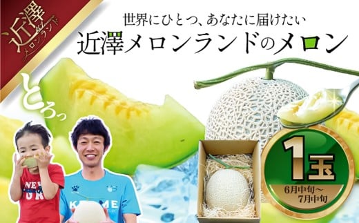 先行予約 メロン 1玉入(約1.4kg〜1.8kg)青肉 2026年夏発送 期間限定 メロン めろん マスクメロン 舐瓜 果物 くだもの フルーツ デザート 旬 ハウス栽培 常温配送高知県土佐市19000果物・フル