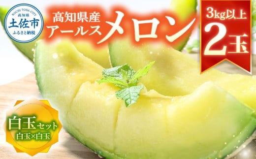 高級土佐アールスメロン2玉入り メロン めろん 白玉セット 白玉×白玉 3kg以上 舐瓜 果物 くだもの フルーツ デザート スイーツ おやつ 高級 常温 配送高知県土佐市14000果物・フルーツメロン