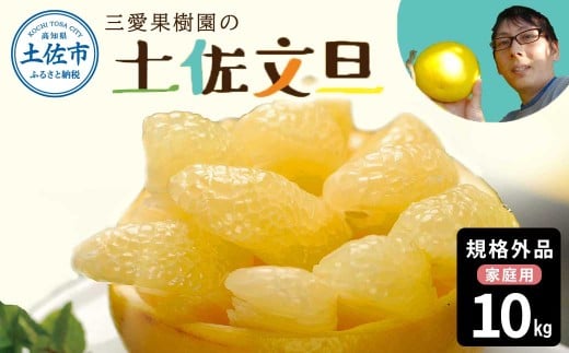 【先行予約】文旦 約10kg 10キロ L〜4Lサイズ 土佐文旦 みかん 柑橘 ぶんたん ブンタン 果物 フルーツ デザート おやつ 三愛果樹園の土佐文旦 おいしい 美味しい 規格外品 お取り寄せ 常温 配
