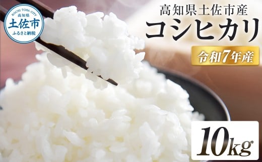 コシヒカリ 令和7年産 10kg 10キロ 精米 白米 お米 ご飯 ごはん 米 kome こめ こしひかり 高知県産 国産 お取り寄せ 常温 高知県 高知 土佐市高知県土佐市27000米・パン白米