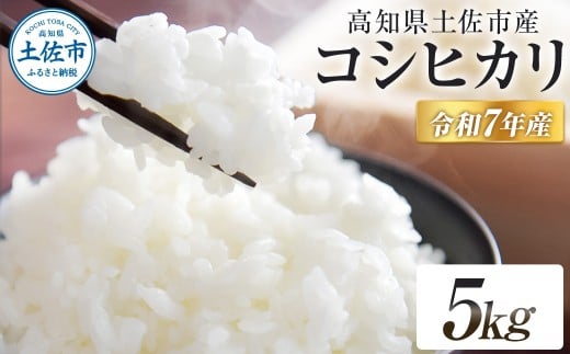 コシヒカリ 令和7年産 5kg 5キロ 精米 白米 お米 ご飯 ごはん 米 kome こめ こしひかり 高知県産 国産 お取り寄せ 常温 高知県 高知 土佐市高知県土佐市14000米・パン白米